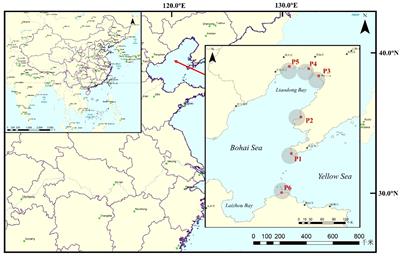 Recognizing topological attributes and spatiotemporal patterns in spotted seals (Phoca largha) trophic networks based on eDNA metabarcoding